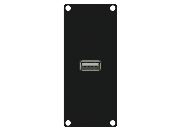 Caymon CASY161/B USB 2.0A panel Black 1 space USB 2.0A gender
